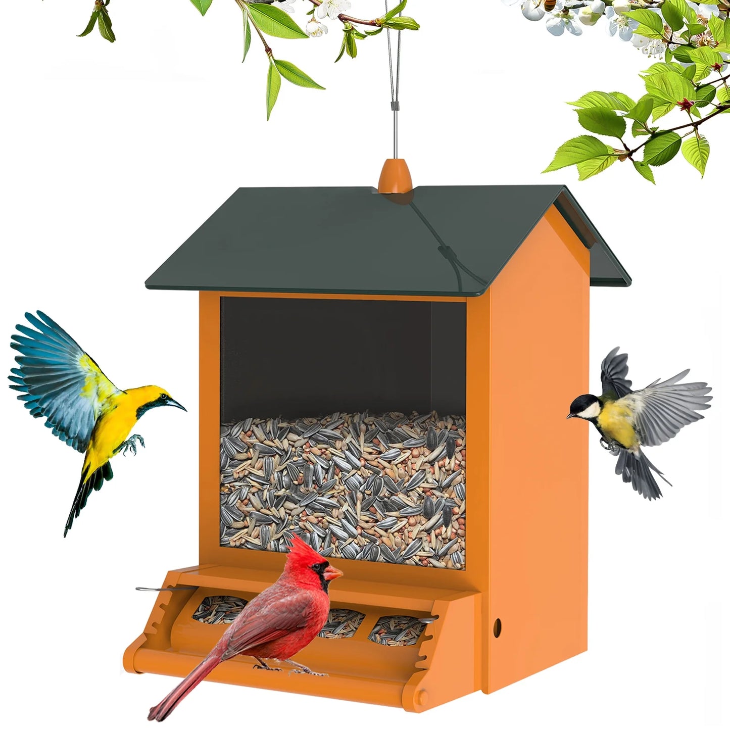6 Lbs Squirrel-Proof Outdoor Wild Bird Feeder with Weight-Activated Perches, 4 Feeding Ports for Garden Yard outside Decoration