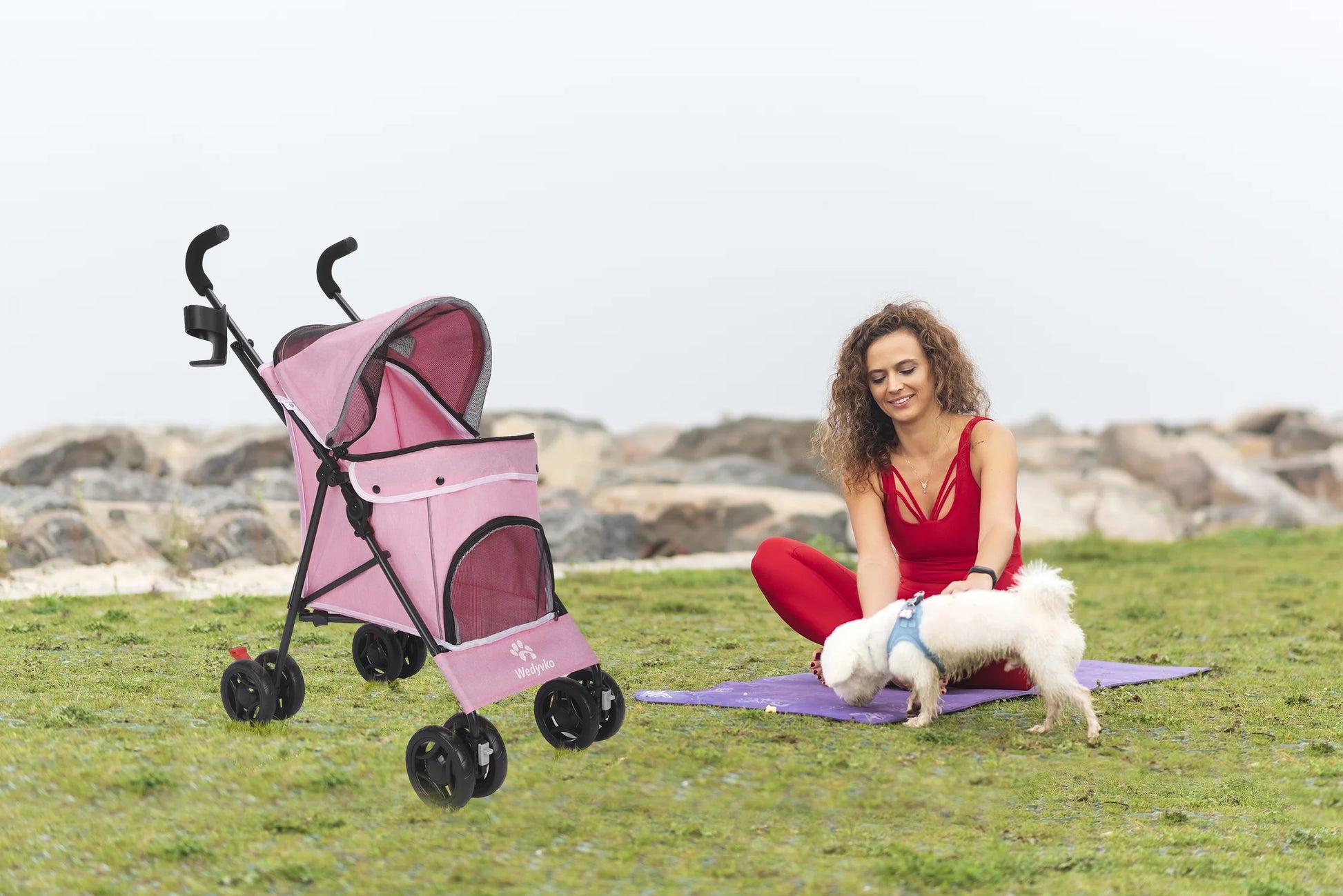 4 Wheel Pet Dog Stroller Foldable Carrier Strolling Cart for Small Medium Dog Cat,Pink