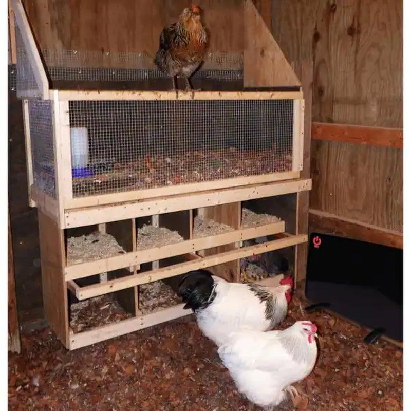 Flat Panel Chicken Coop Heater 200-Watt Walls/Ceilings Mountable Cozy Products