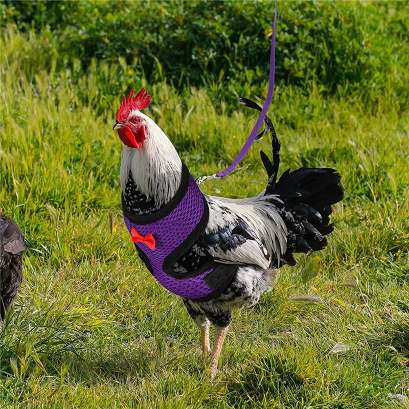 Adjustable Chicken Harness with Leash Comfortable Hen Vest Breathable Harness and Leash for Duck Goose Roosters Training