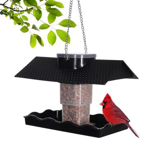 Acrylic Wild Bird Feeders for Outdoors Hanging, Bird Feeders Squirrel Proof