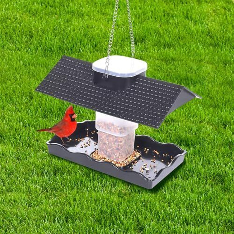 Acrylic Wild Bird Feeders for Outdoors Hanging, Bird Feeders Squirrel Proof