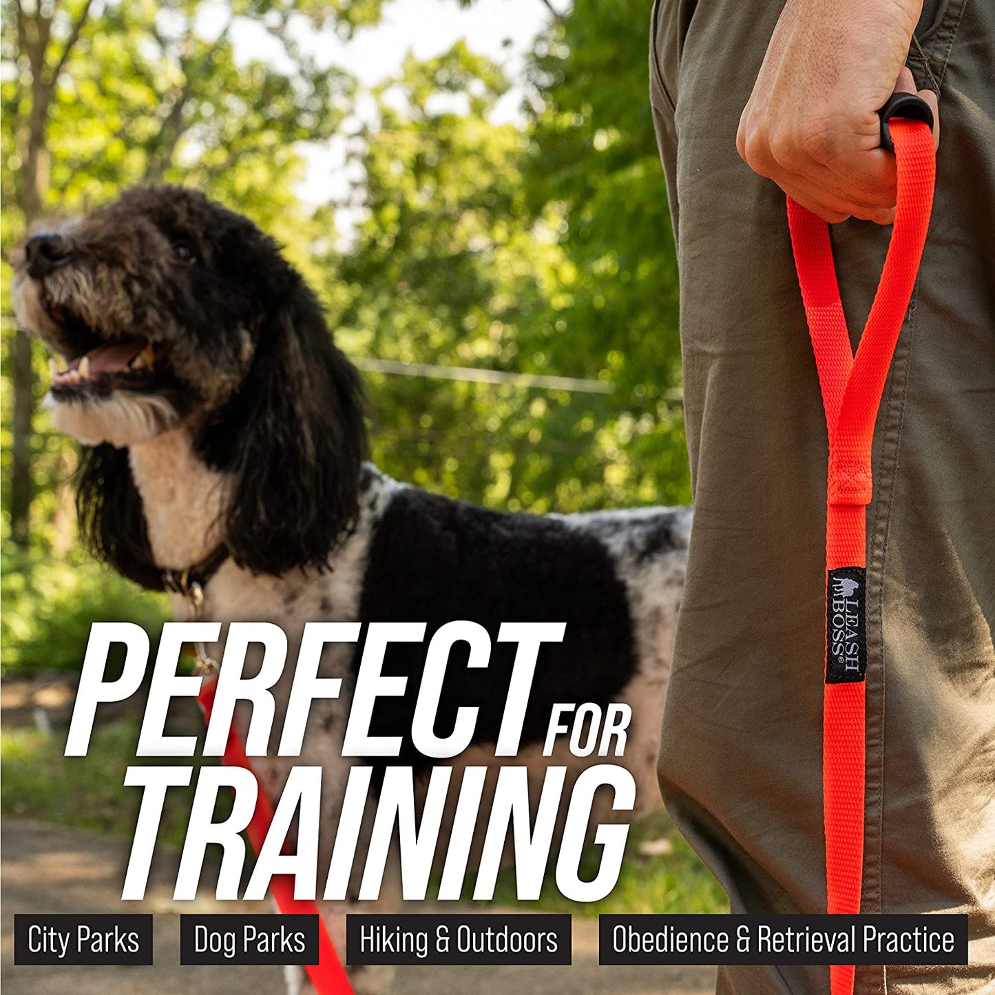 Free Range - Long Dog Leash for Large Dogs - 1 Inch Heavy Duty Nylon Training Lead with Padded Handle - High Visibility Orange - Extra Long Dog Leash (30 Ft)