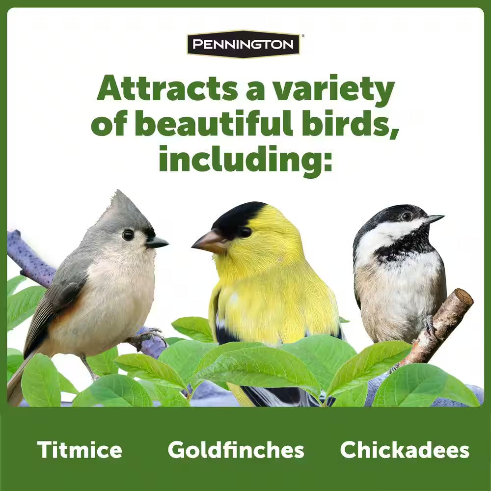 Earth Smart Recycled Petite Ecozebo Wild Bird Feeder