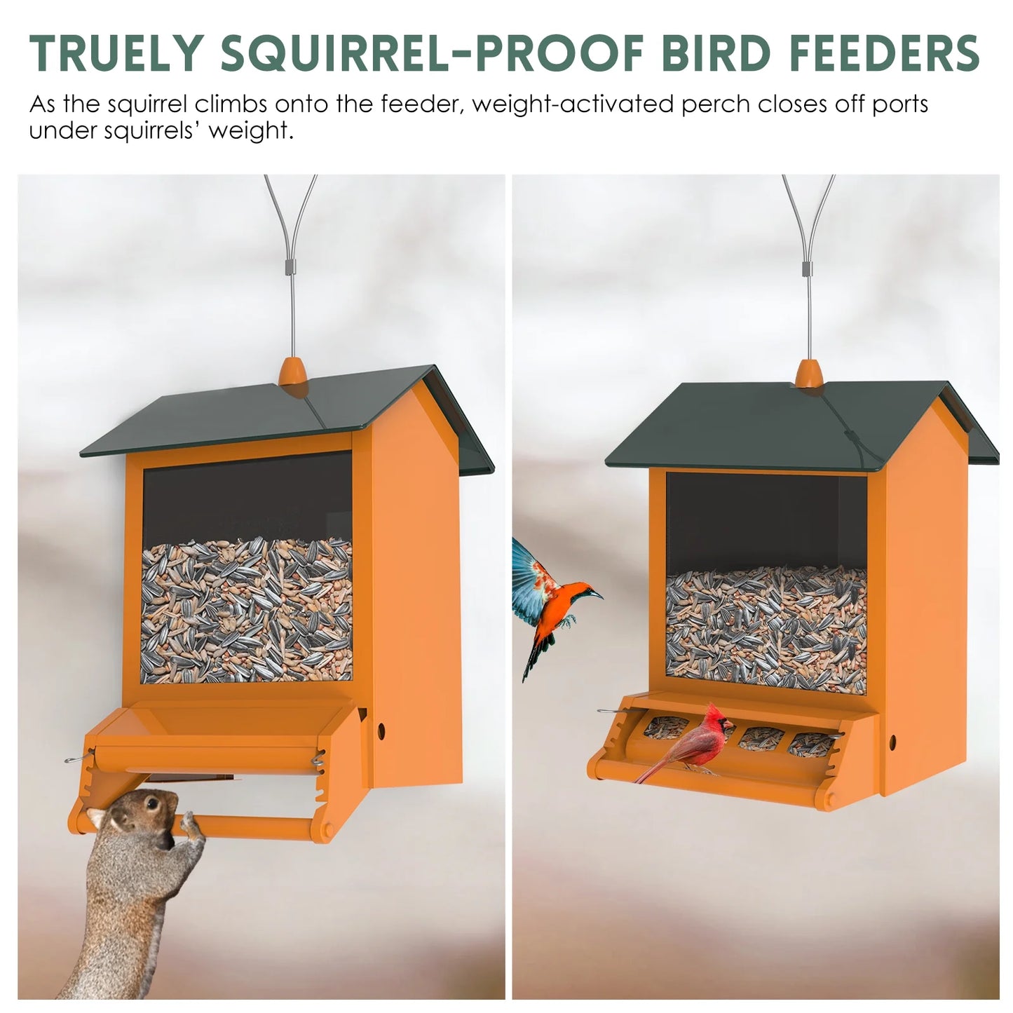 6 Lbs Squirrel-Proof Outdoor Wild Bird Feeder with Weight-Activated Perches, 4 Feeding Ports for Garden Yard outside Decoration