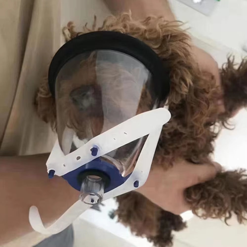 Pet Breathing Mask Animal Anesthesia Kit for Cat Dog Bird Snake Rat with Oxygen Onhalation Atomization Clinic Hospital Supplies