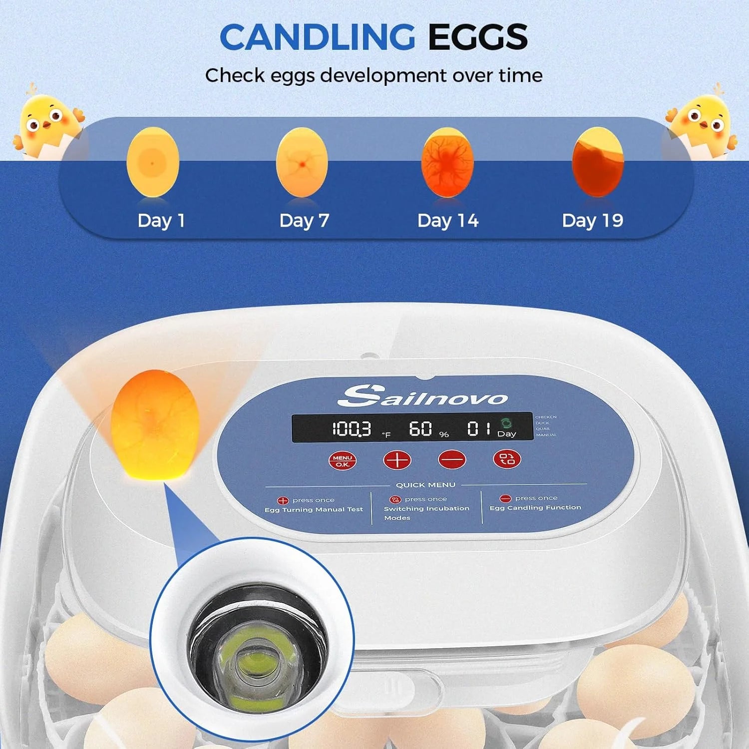 Automatic 24 Chicken Egg Incubator with LED Display, Egg Candler, Automatic Egg Turner, Temperature Control Digital Incubator for Hatching Chickens