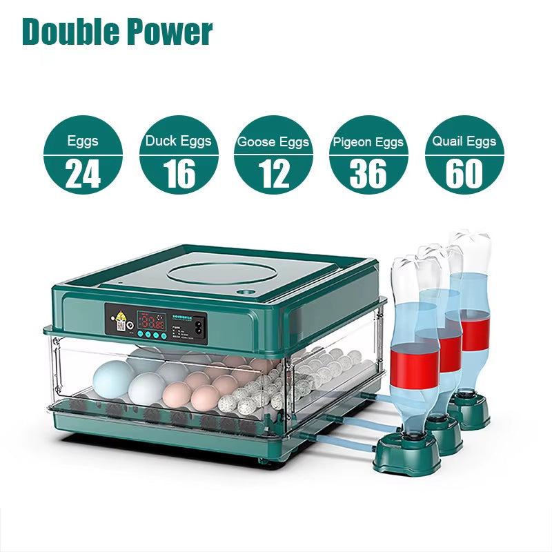 24/38 Eggs Automatic Intelligent Screen Display Incubator Household Chicken, Duck, Goose, Pigeon, Peacock & Parrot Egg Incubator