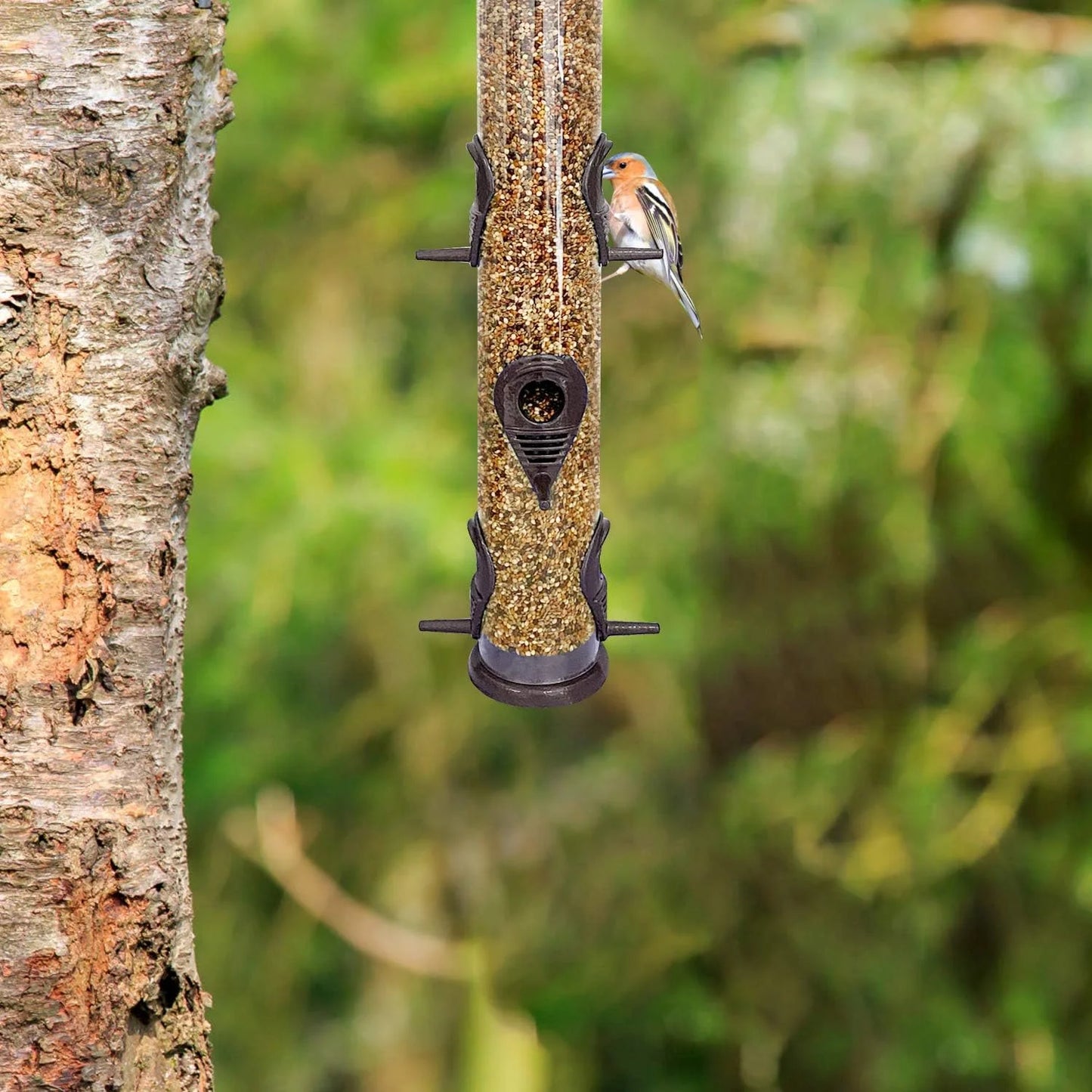 Wild Bird Feeders for Outdoors Hanging, Metal Tube Feeder, 6 Feeding Ports, Coffee - 1 Pack