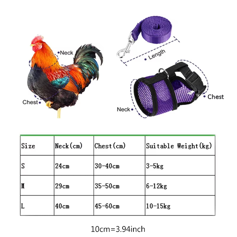 Adjustable Chicken Harness with Leash Comfortable Hen Vest Breathable Harness and Leash for Duck Goose Roosters Training