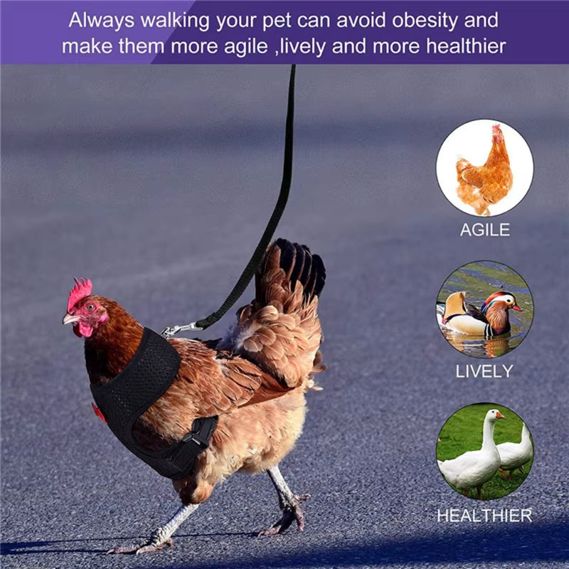 Adjustable Chicken Harness with Leash Comfortable Hen Vest Breathable Harness and Leash for Duck Goose Roosters Training