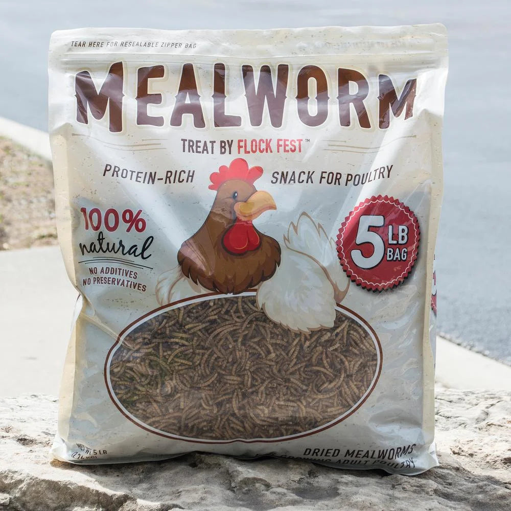 Dried Mealworms for Chickens, Wild Birds, Ducks, and Small Pets, 5 Lbs. Bag