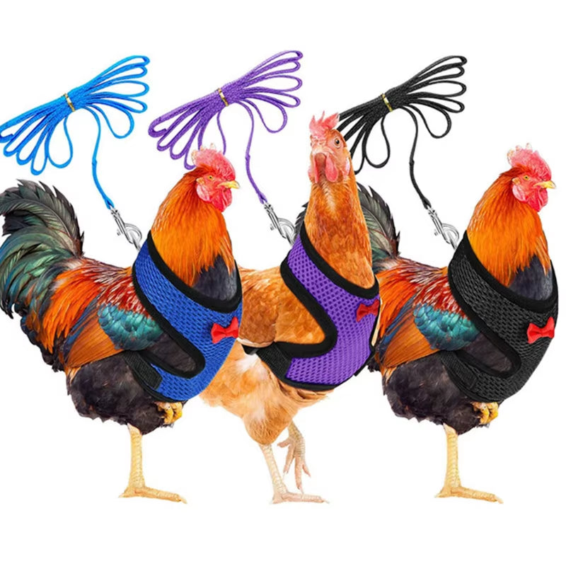 Adjustable Chicken Harness with Leash Comfortable Hen Vest Breathable Harness and Leash for Duck Goose Roosters Training