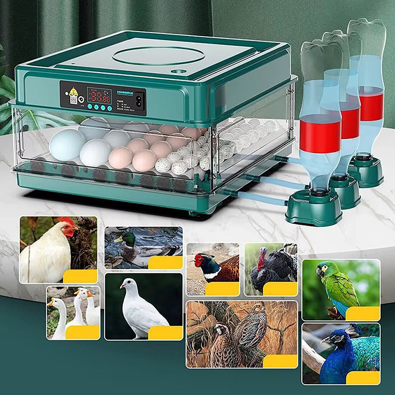 24/38 Eggs Automatic Intelligent Screen Display Incubator Household Chicken, Duck, Goose, Pigeon, Peacock & Parrot Egg Incubator