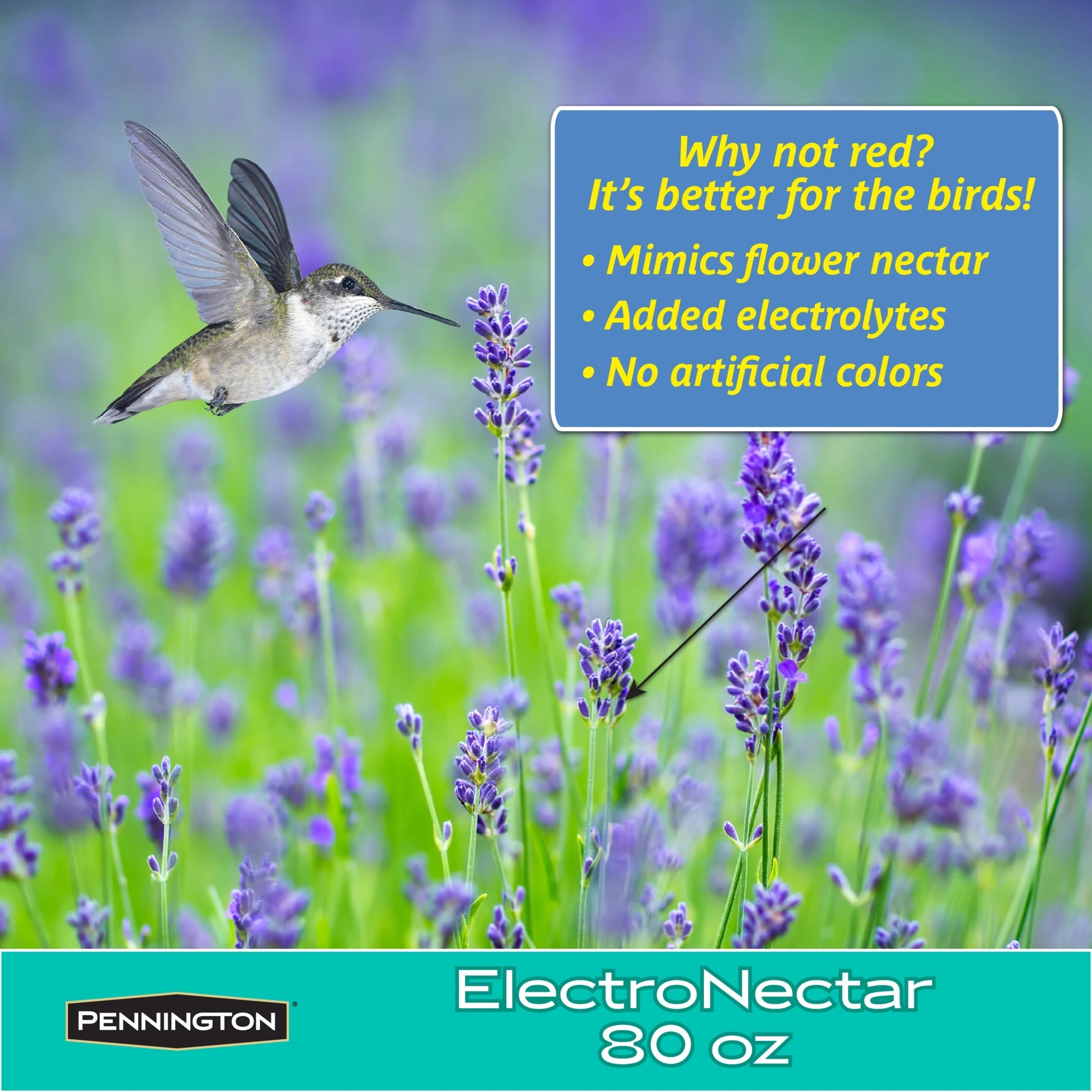 Ultra Electro Nectar Clear Hummingbird Food Ready-To-Use Liquid, 80 Oz. Bottle, 1 Pack