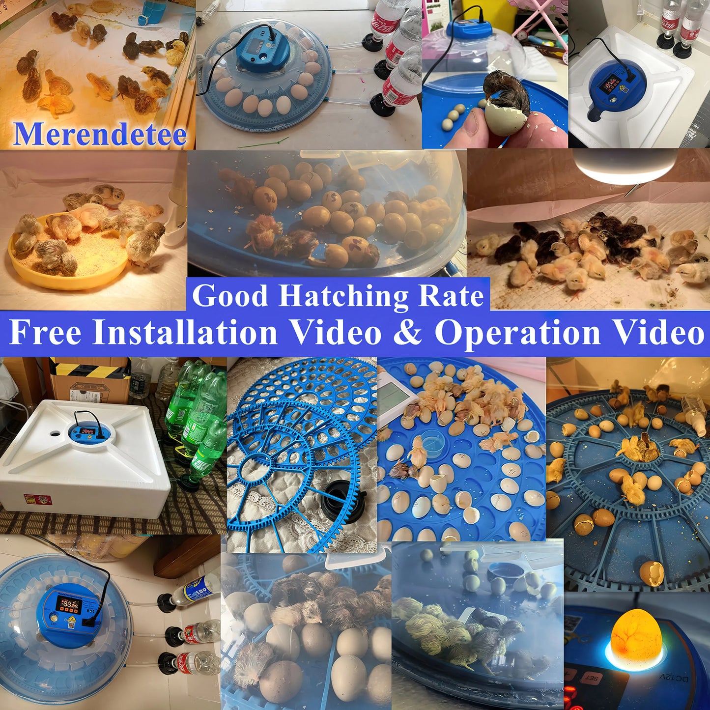 26-52 Eggs Automatic Incubator，Upgrade Automatic Water Adding，360 Degree View，Incubators for Hatching Eggs，Without Install