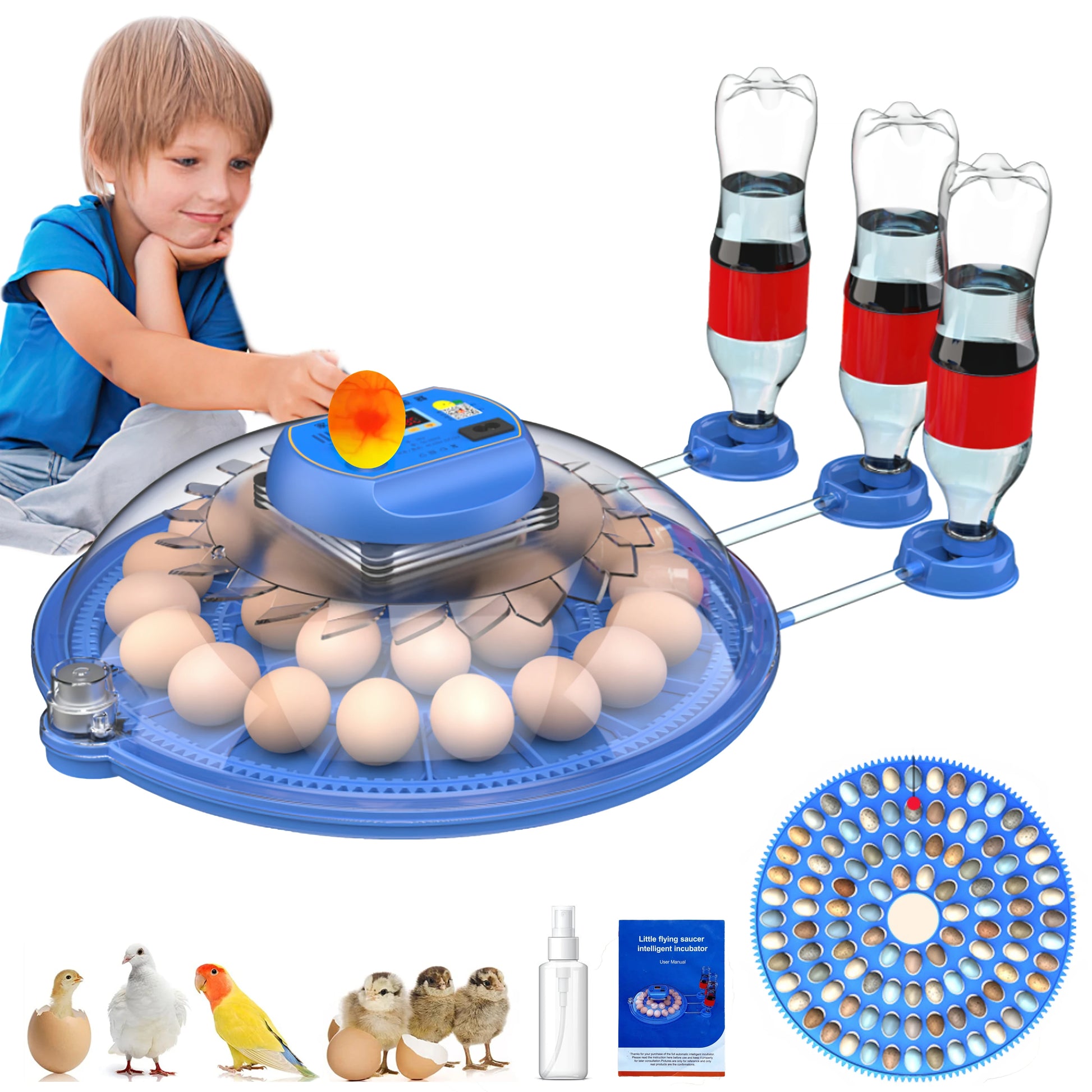 26-52 Eggs Automatic Incubator，Upgrade Automatic Water Adding，360 Degree View，Incubators for Hatching Eggs，Without Install