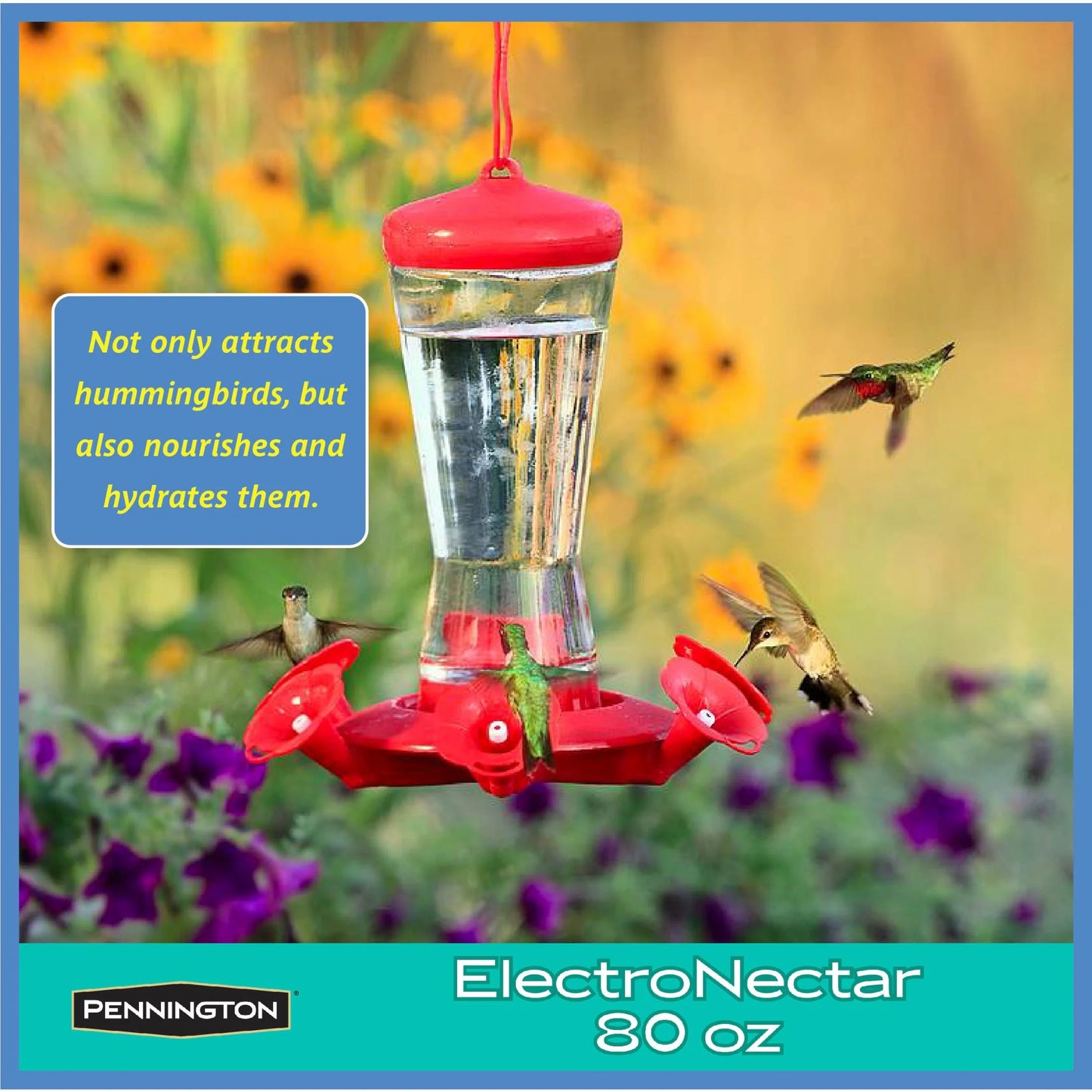 Ultra Electro Nectar Clear Hummingbird Food Ready-To-Use Liquid, 80 Oz. Bottle, 1 Pack
