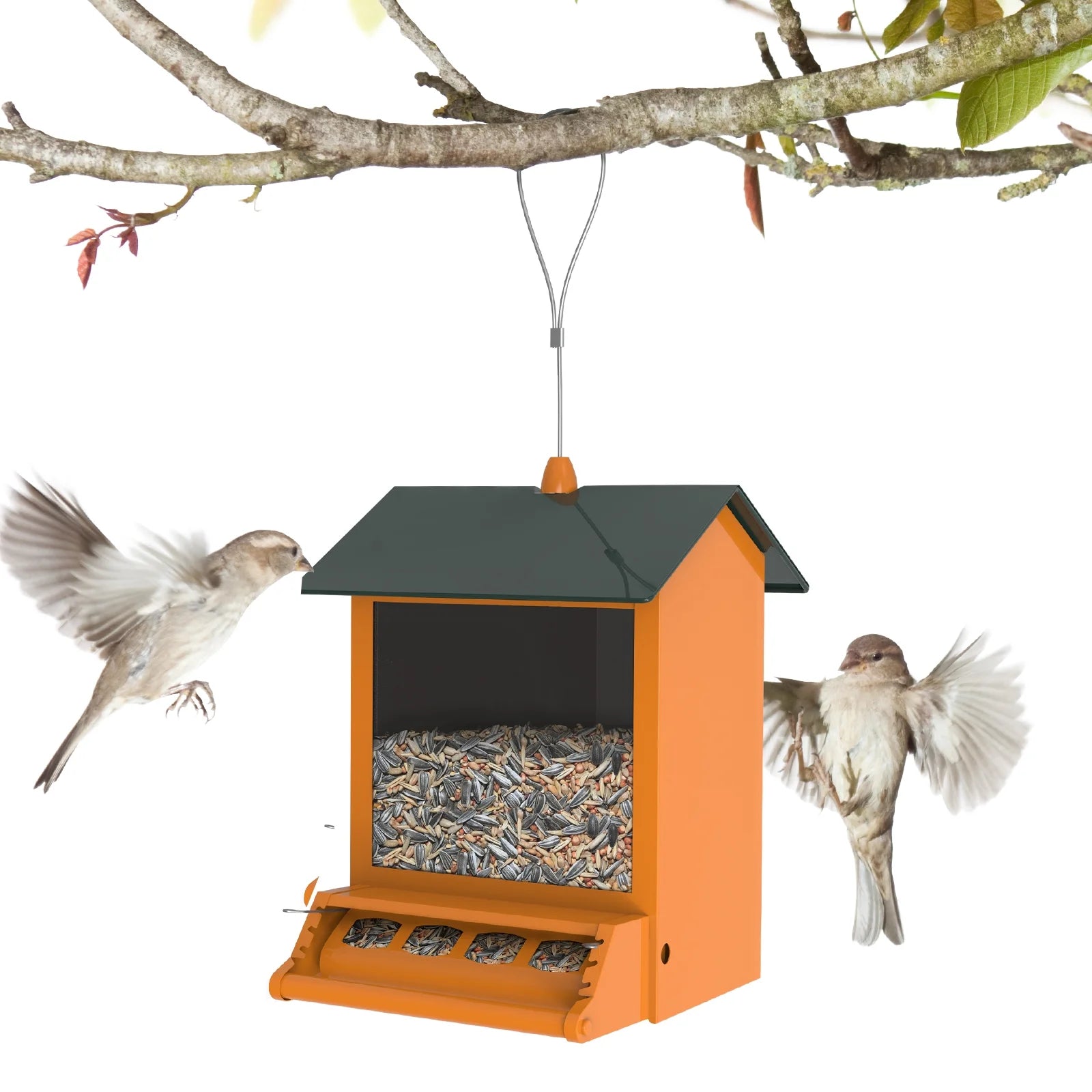 6 Lbs Squirrel-Proof Outdoor Wild Bird Feeder with Weight-Activated Perches, 4 Feeding Ports for Garden Yard outside Decoration