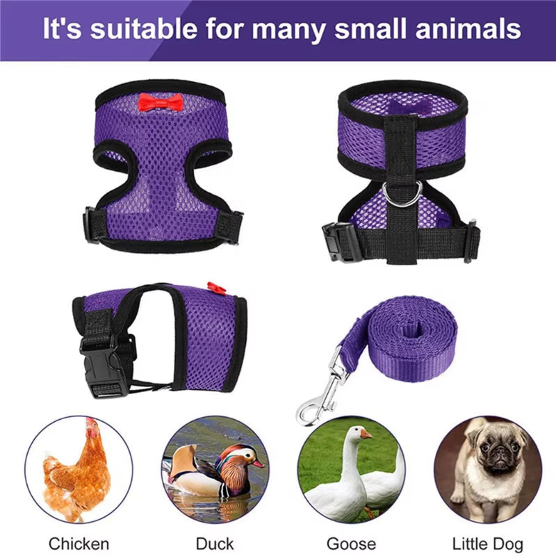 Adjustable Chicken Harness with Leash Comfortable Hen Vest Breathable Harness and Leash for Duck Goose Roosters Training