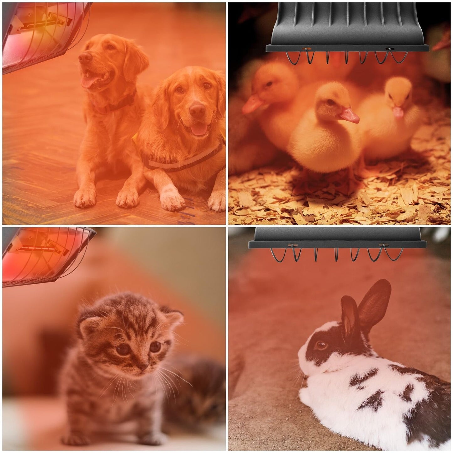 Chicken Coop Heater for Chicks,Brooder Heater with 2Pcs Heat Lamp(250W and 17...