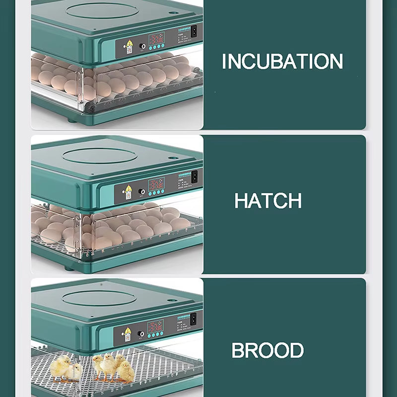 24/38 Eggs Automatic Intelligent Screen Display Incubator Household Chicken, Duck, Goose, Pigeon, Peacock & Parrot Egg Incubator