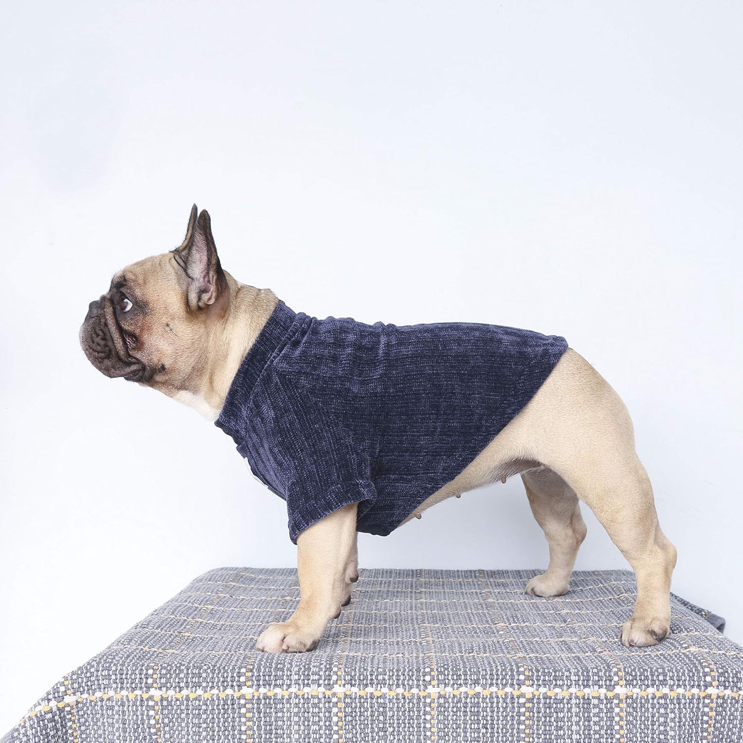 Pet Dog Winter Warm Sweater Clothes Turtleneck for French Bulldog Pug Boston Terrier Corduroy Cold Weather Pullover Coat Shirt - Blue/Large