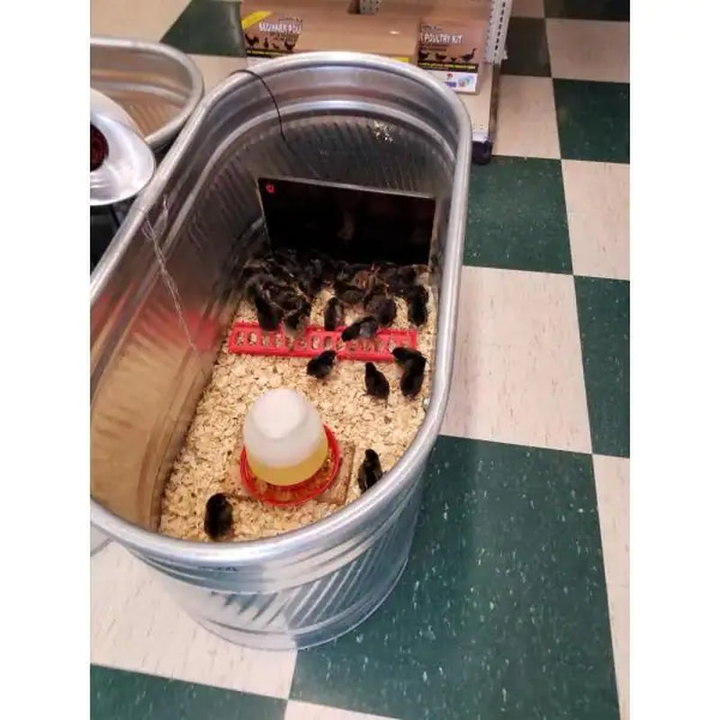 Flat Panel Chicken Coop Heater 200-Watt Walls/Ceilings Mountable Cozy Products
