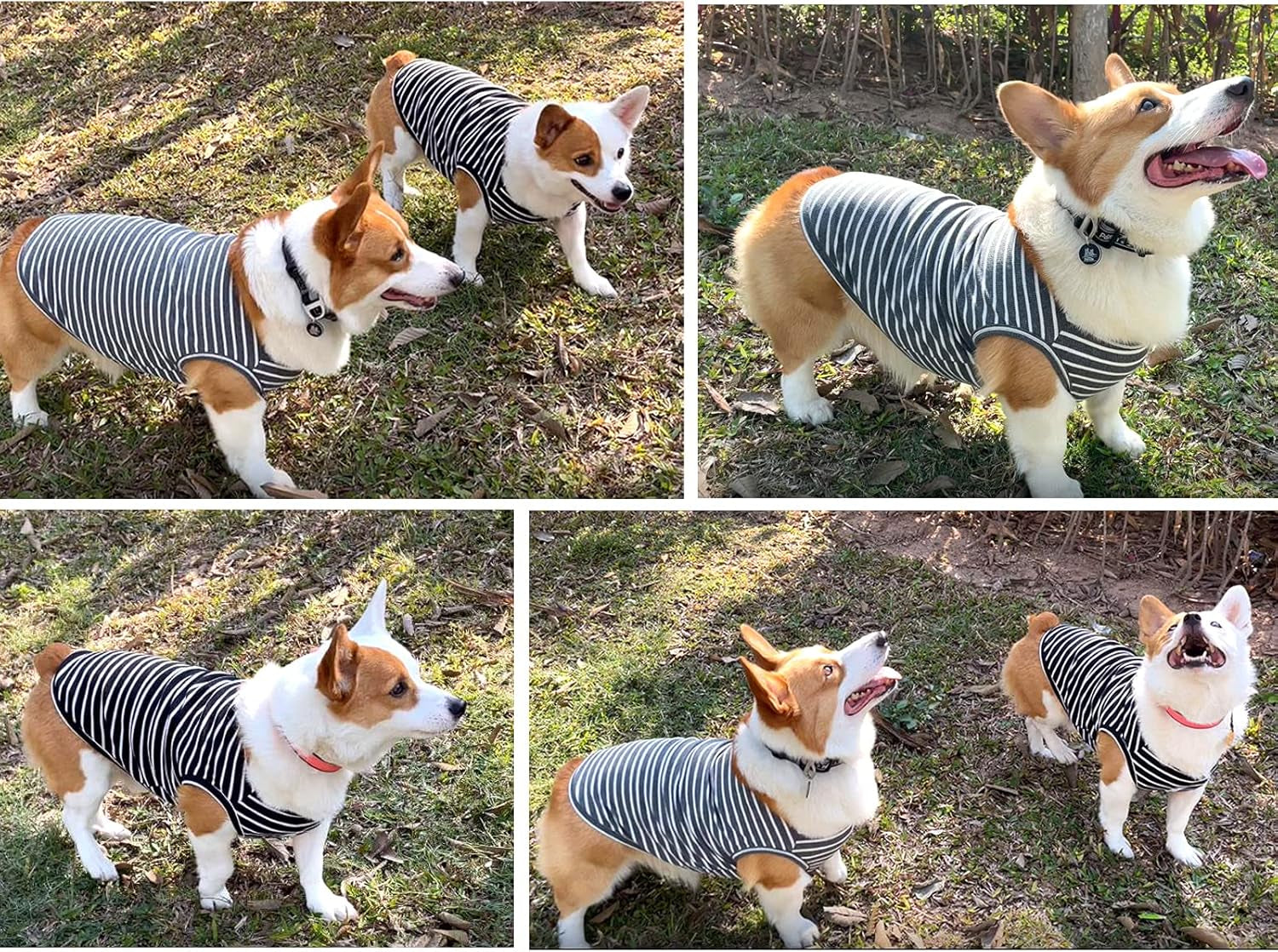 Dog Shirt Vest Lightweight Stretchy Dog T-Shirts Soft Cool Sleeveless Stripe Vests Breathable Clothes for Puppy Kitty Cats Small Medium Large Dogs 2 Pack Black + Grey [ 5XL ]