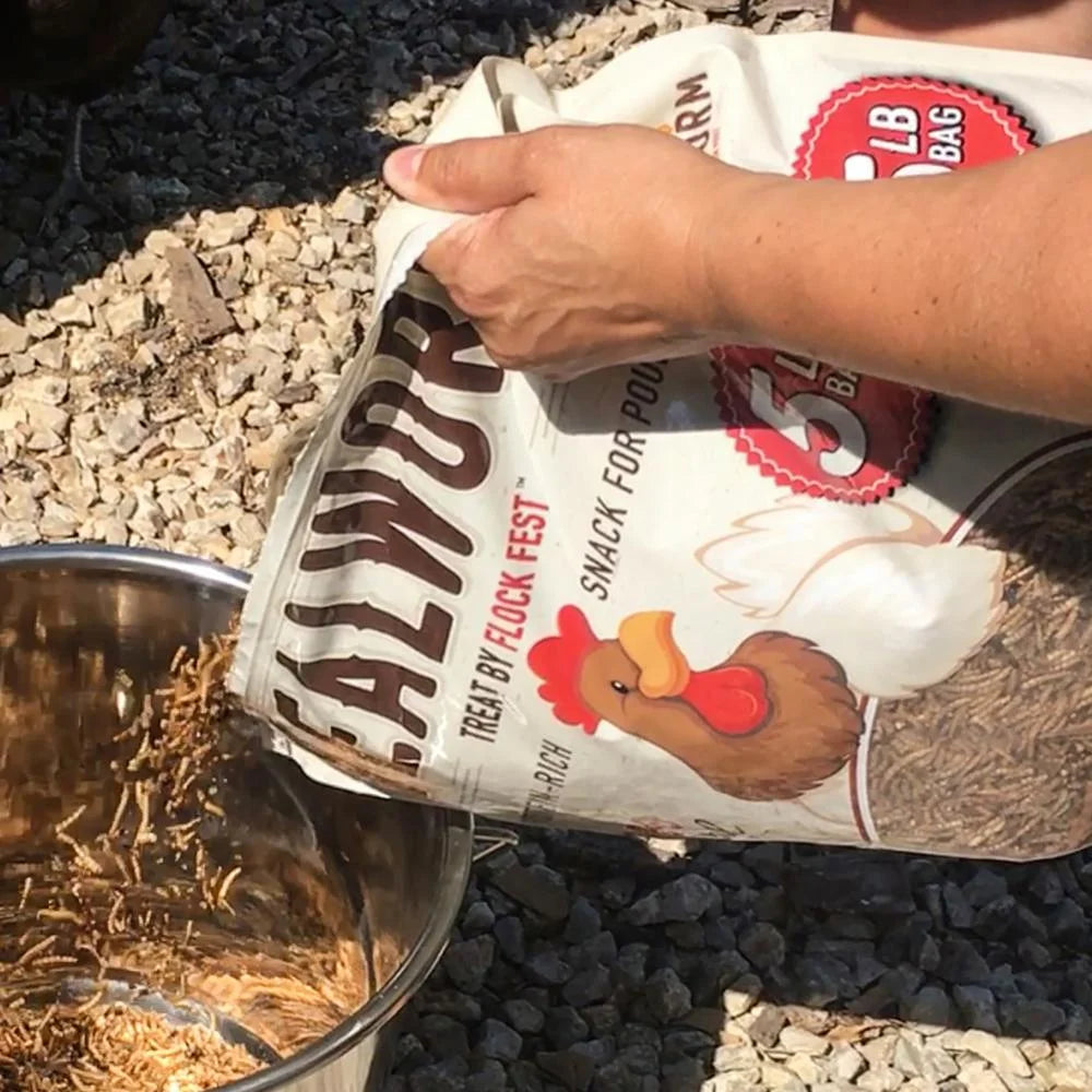 Dried Mealworms for Chickens, Wild Birds, Ducks, and Small Pets, 5 Lbs. Bag