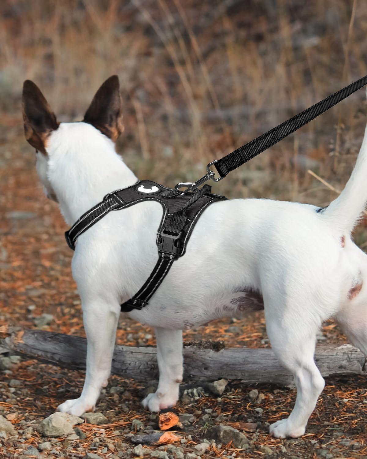 Double-Sided Reflective Dog Leash, 6 FT/5 FT/4 FT, Padded Handle Nylon Heavy Duty Leashes for Small & Medium Dogs Walking, Black, 5FT
