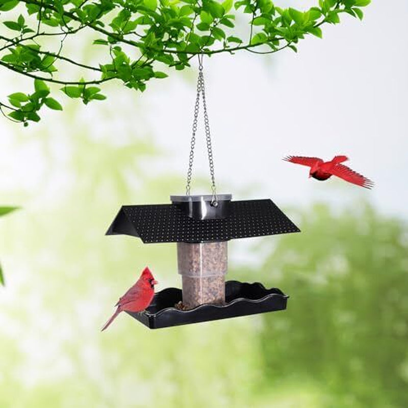 Acrylic Wild Bird Feeders for Outdoors Hanging, Bird Feeders Squirrel Proof