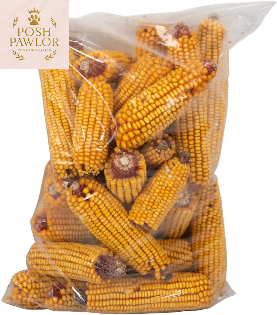 Dried Squirrel Corn Bag - Each Bag Weighs about 14 Lbs - Great for Squirrels, Deer and Other Backyard Critters - Grown in Indiana - (1)