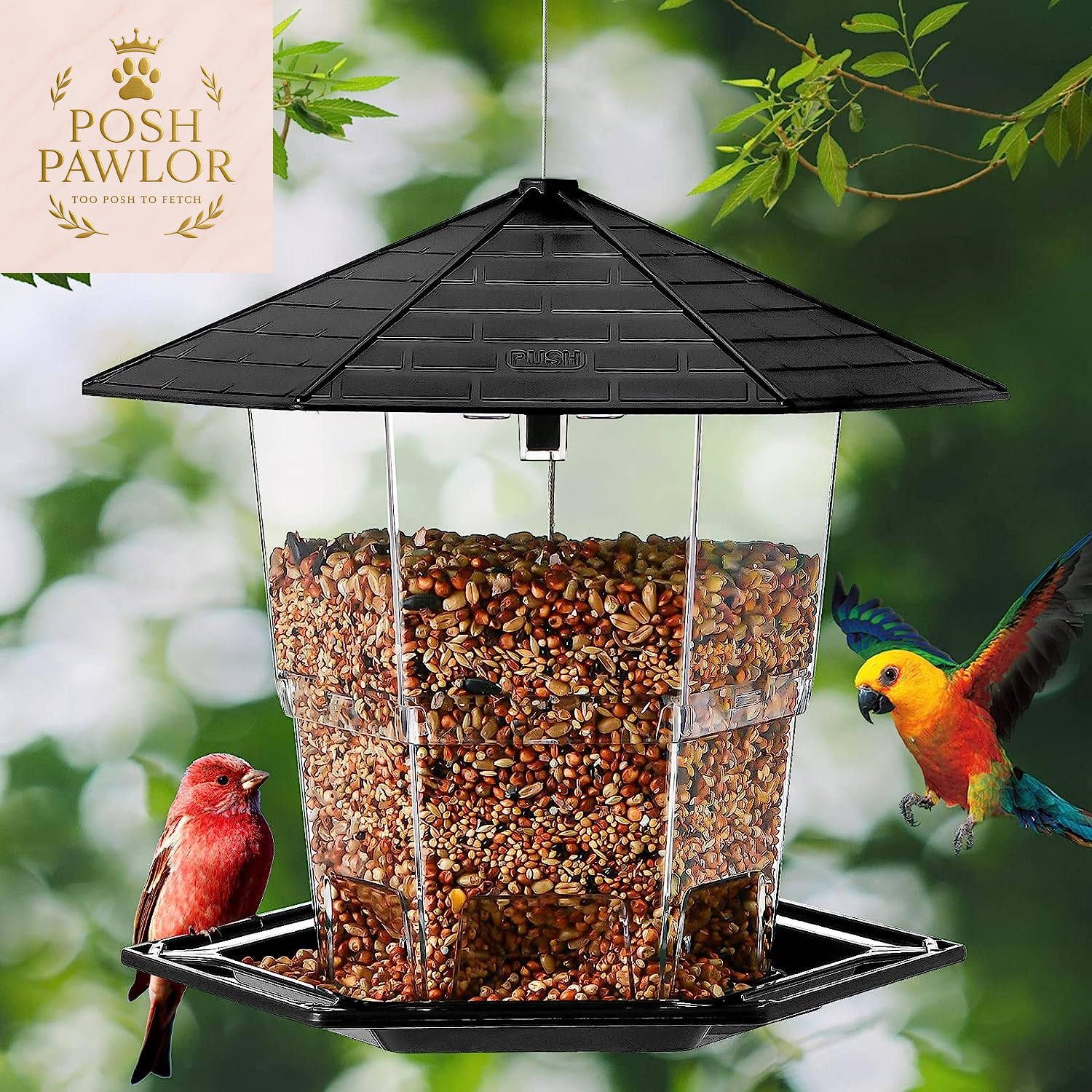 Bird Feeders for Outdoors Hanging Bird Feeder Wild Birds Seed, Black