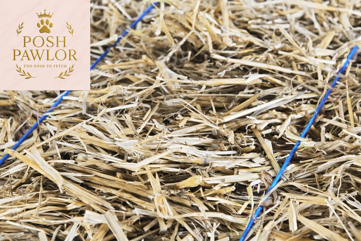 Straw Bale by , Multi-Use for Farm & Home, Medium Straw Bale, 22"