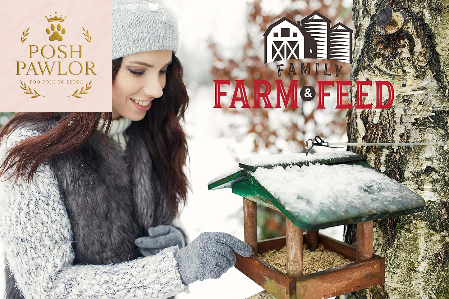 | Four Season | Black Oil Sunflower Seed | 4 Pounds | Wild Bird Food | Backyard Songbird