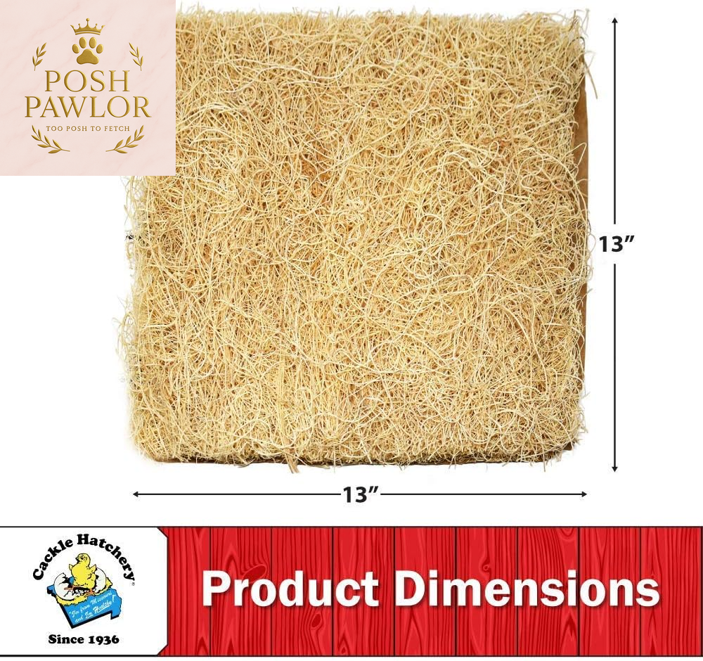 Laying Hen Nest Box Pads Made in USA from Sustainable Aspen Exceslior - 13X13 Nesting Box Liners (24 Pack)