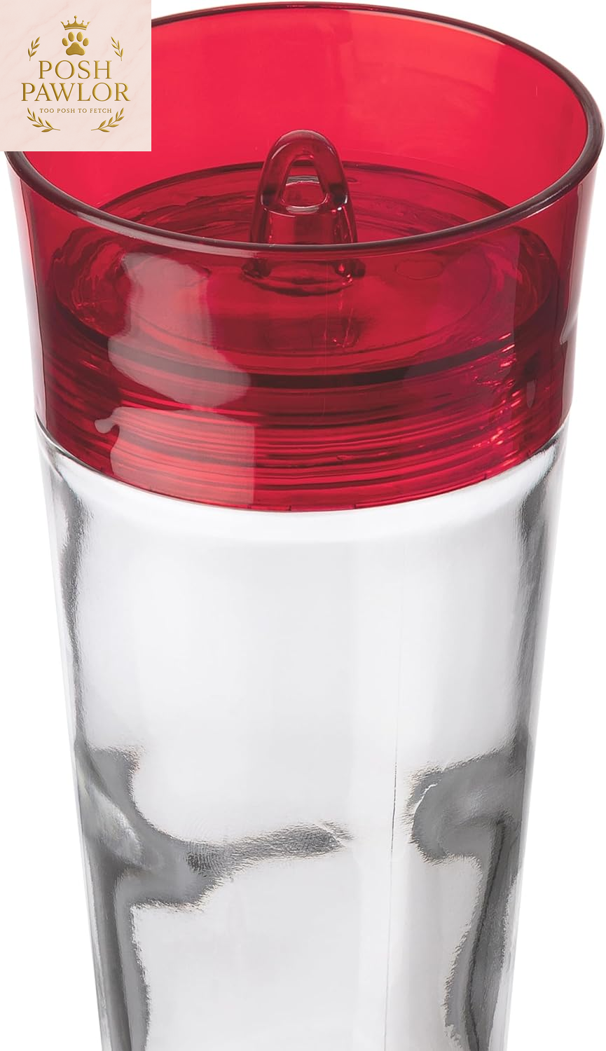 Bird Health+ Ruby Hummingbird Feeder, Glass Hummingbird Feeders for Outdoors, 4 Feeding Stations, 10 Ounces, Ruby Red