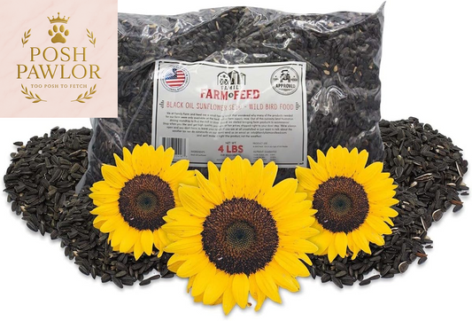 | Four Season | Black Oil Sunflower Seed | 4 Pounds | Wild Bird Food | Backyard Songbird