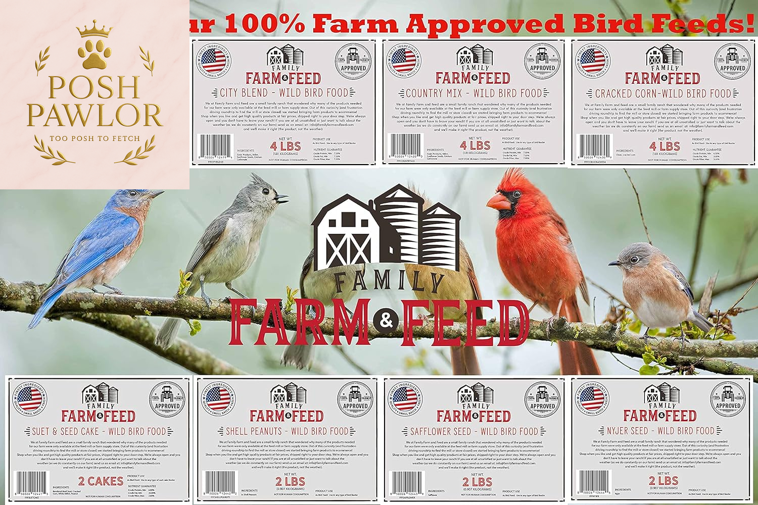 | Four Season | Black Oil Sunflower Seed | 4 Pounds | Wild Bird Food | Backyard Songbird