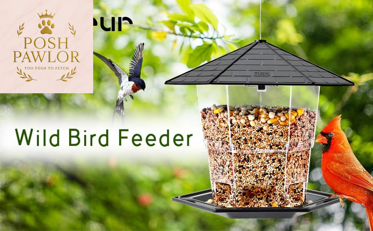 Bird Feeders for Outdoors Hanging Bird Feeder Wild Birds Seed, Black