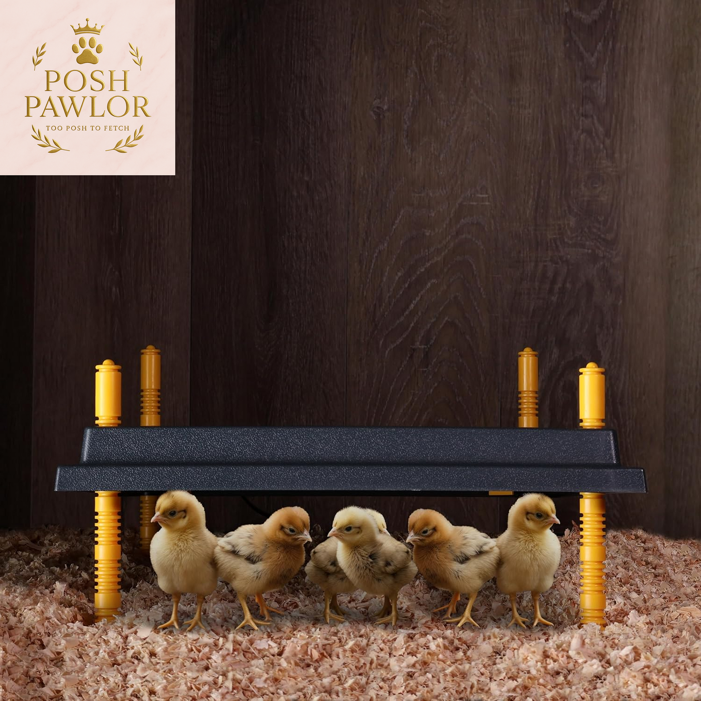 Chick Heating Plate Brooder Plate - 10 Inch Brooder Heat Plate for Chicks and Ducklings with Adjustable Height