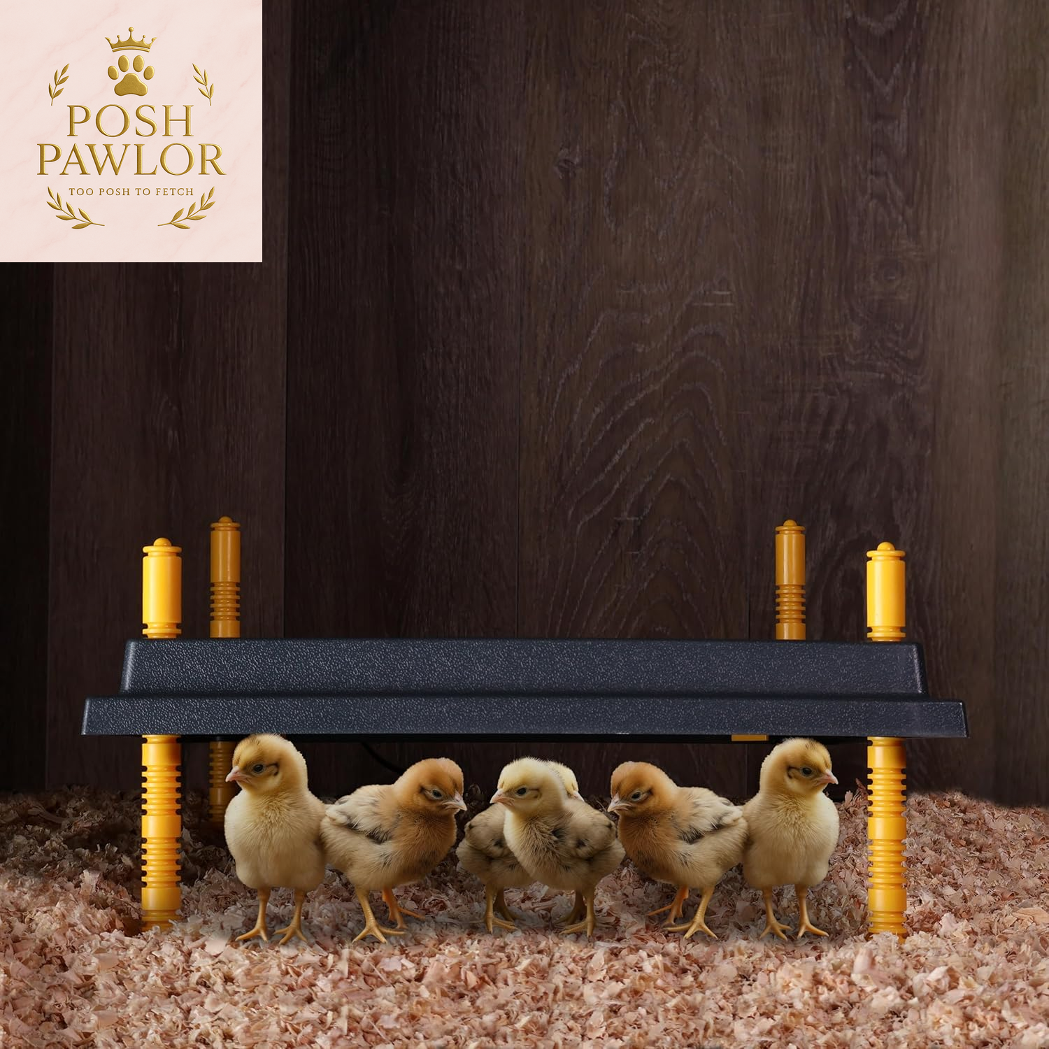 Chick Heating Plate Brooder Plate - 10 Inch Brooder Heat Plate for Chicks and Ducklings with Adjustable Height