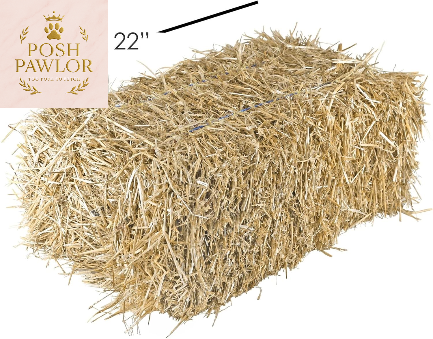 Straw Bale by , Multi-Use for Farm & Home, Medium Straw Bale, 22"
