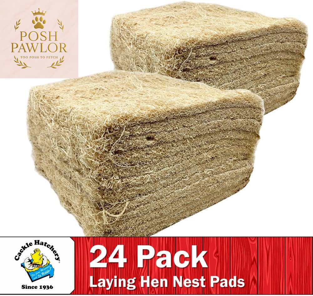 Laying Hen Nest Box Pads Made in USA from Sustainable Aspen Exceslior - 13X13 Nesting Box Liners (24 Pack)