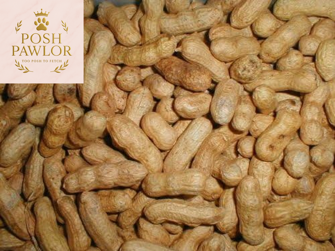 Peanuts (In-The-Shell) Bird Feed - 10 Lb (2-5Lb. Pkg.)