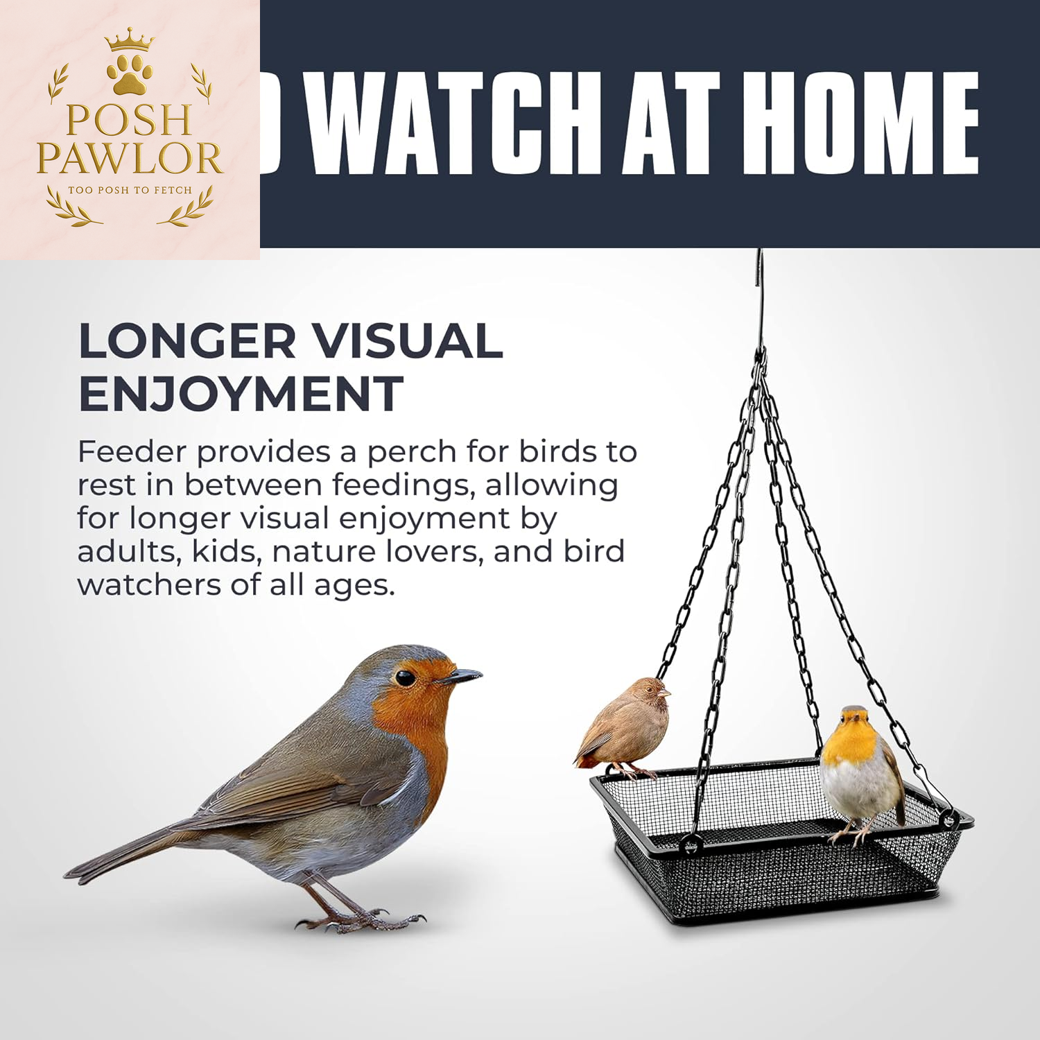 Metal Hanging Bird Feeder with Iron Mesh Seed Tray, Black Powder Coated Outdoor Platform Bird Feeders for outside Hanging, Birdfeeders for Outdoors Hanging Garden Patio Deck Yard