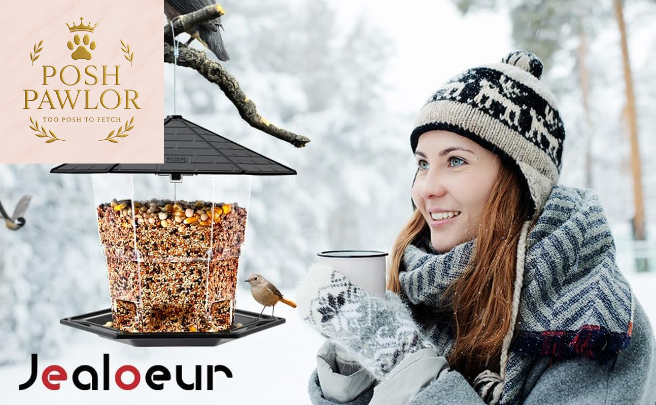 Bird Feeders for Outdoors Hanging Bird Feeder Wild Birds Seed, Black
