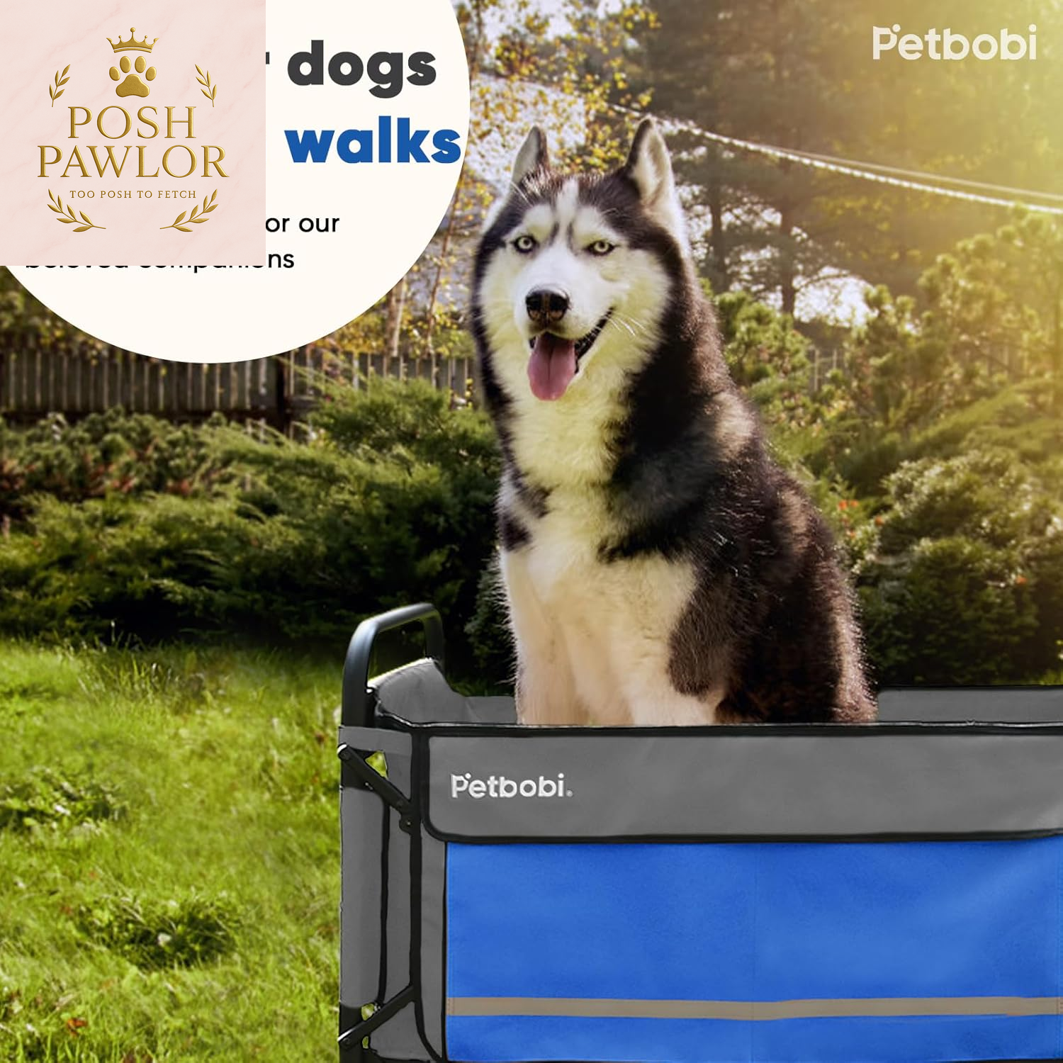 Pet Stroller for Large Dogs - Pullable All Terrain Wagon Cart, Folding Dog Stroller, One-Foot Brake Wagons with Ramp, Easy for Medium Senior Pets to Get in and Out, Ideal for Walking, Blue