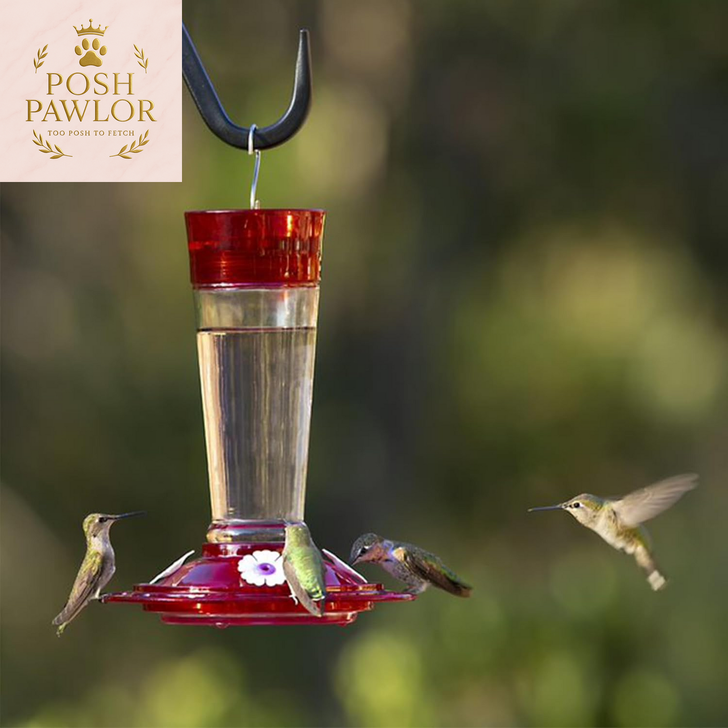Bird Health+ Ruby Hummingbird Feeder, Glass Hummingbird Feeders for Outdoors, 4 Feeding Stations, 10 Ounces, Ruby Red